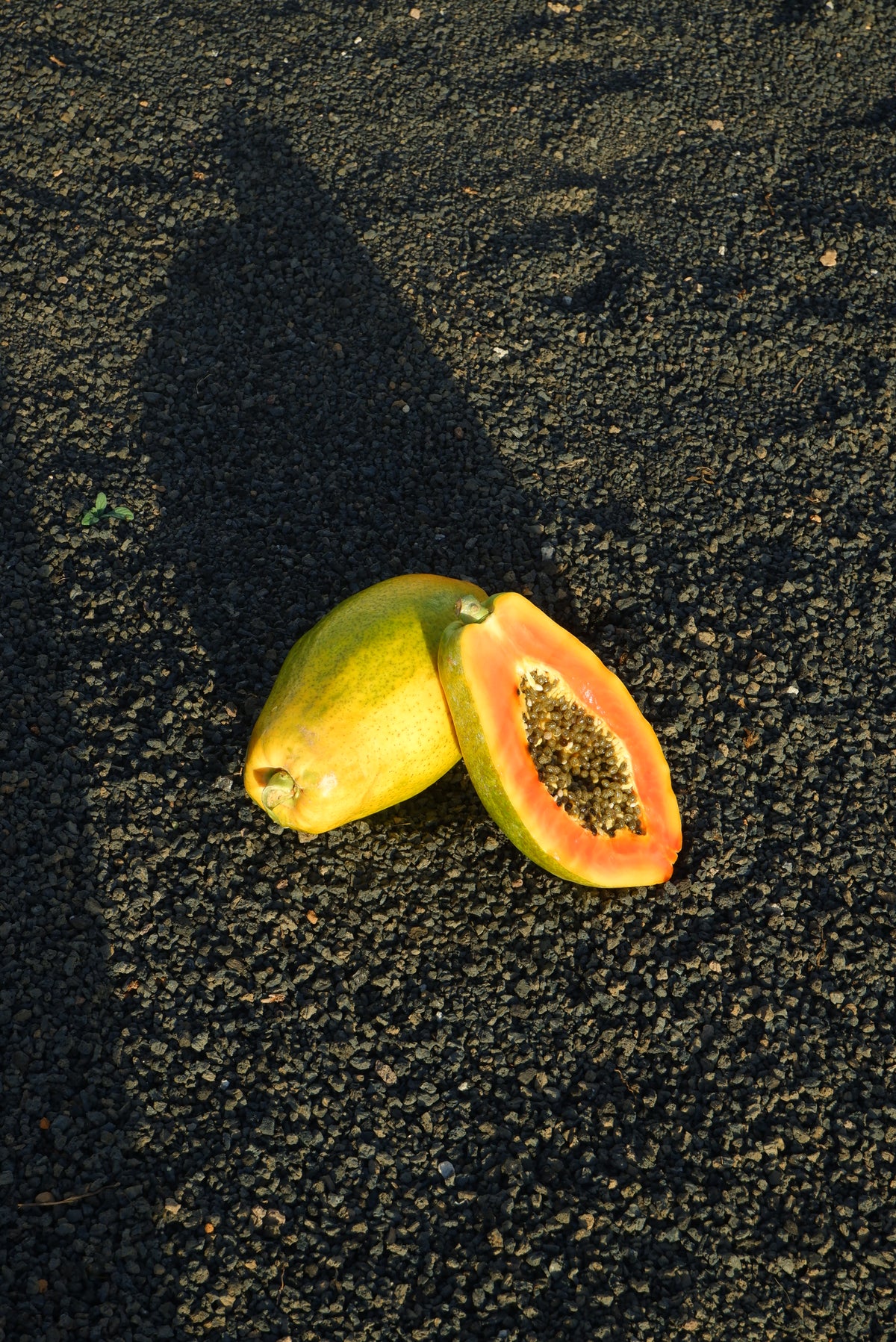 papaya sobre arena negra en lanzarote